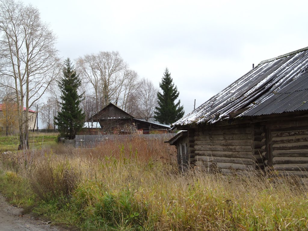 Предзимье в Зуевке