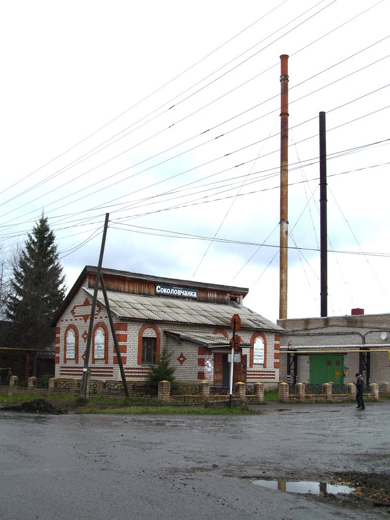 Соколовчанка