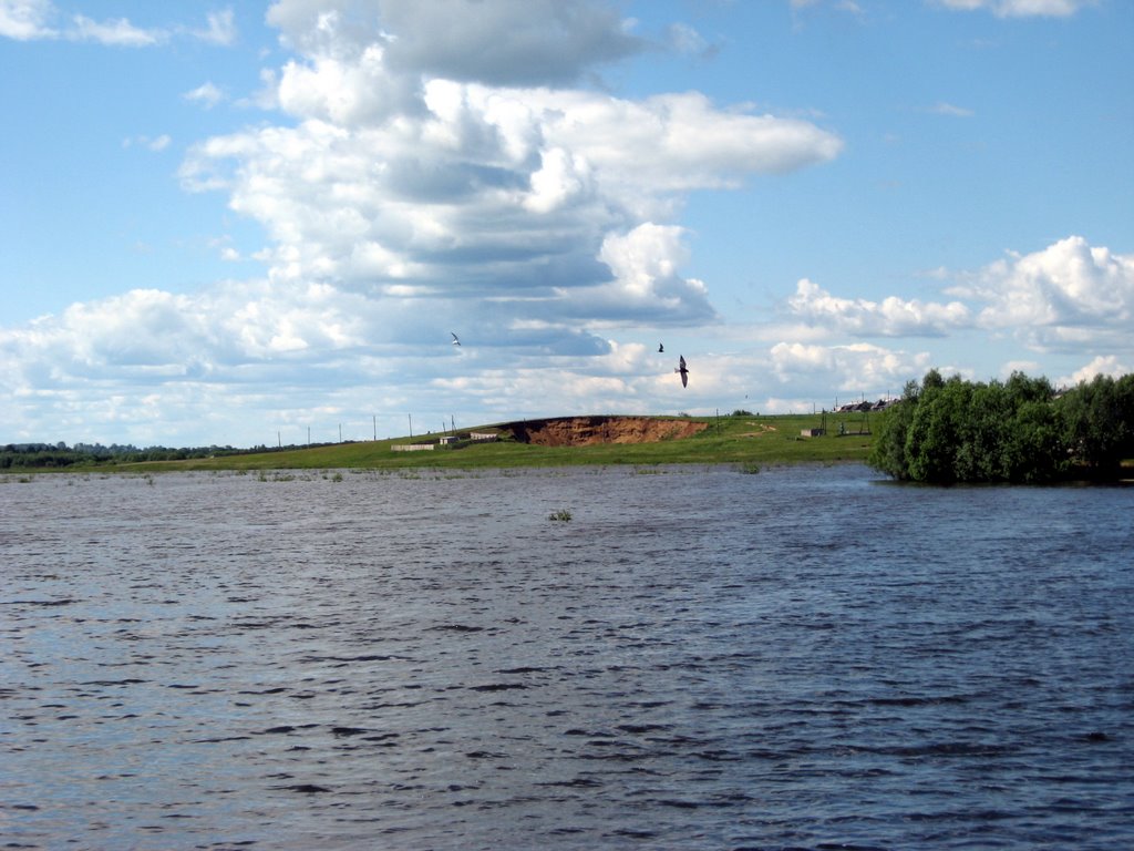 Путиновский пруд