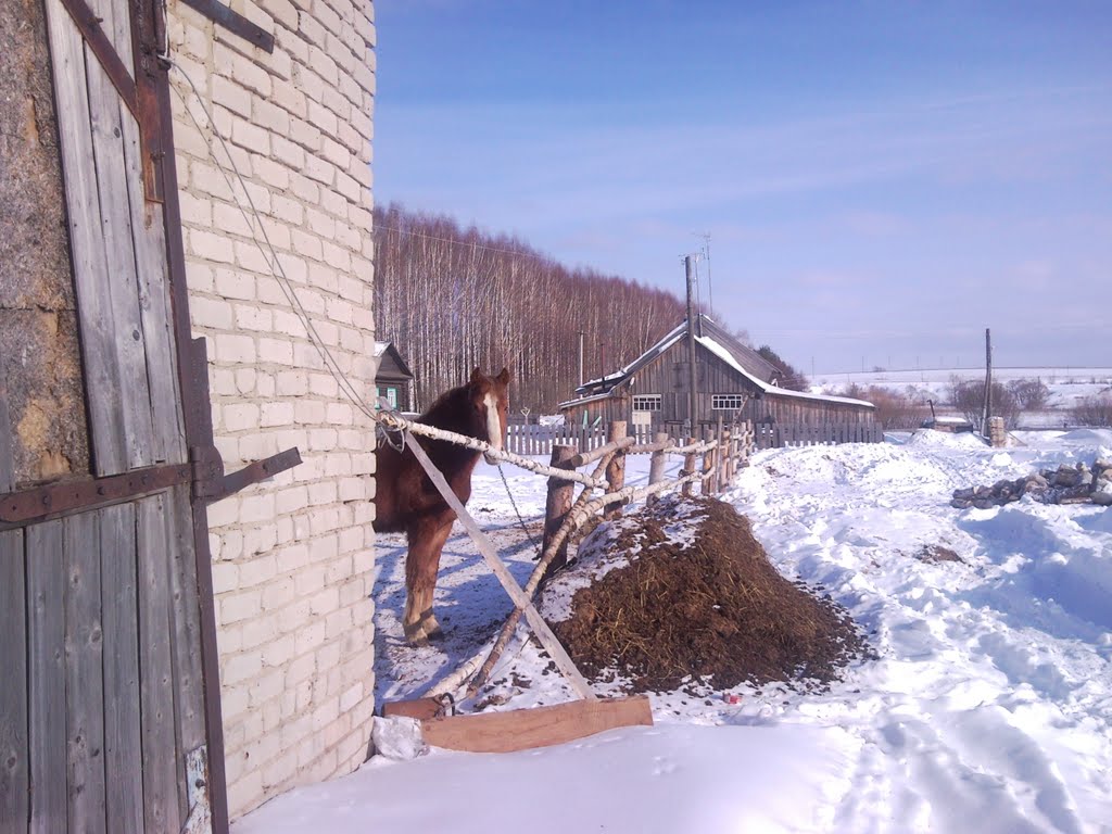 лошадка