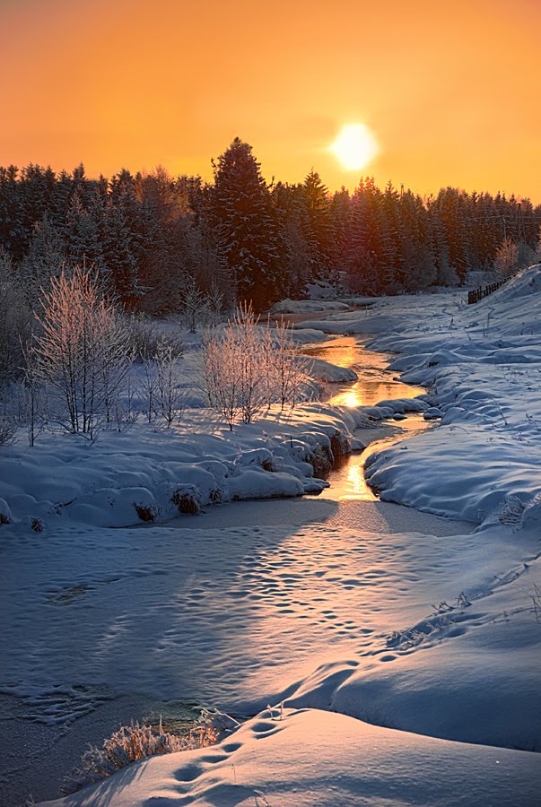Svetlopolyansk