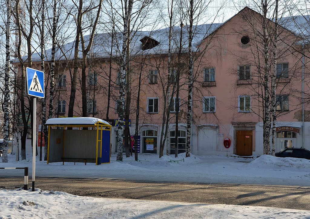 переход через ул.Кирова к ТЦ Берёзка