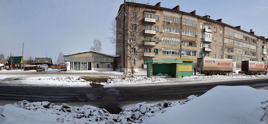 Дом и магазин 15 по ул.Ленина
