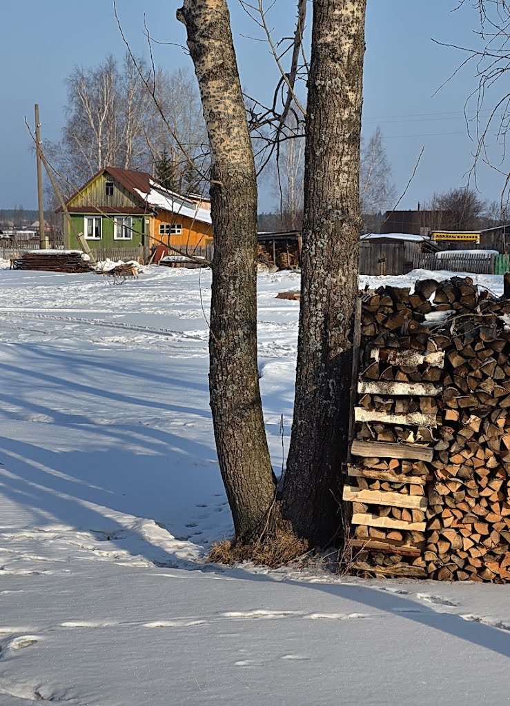 На берегу Б.пруда в Зареке