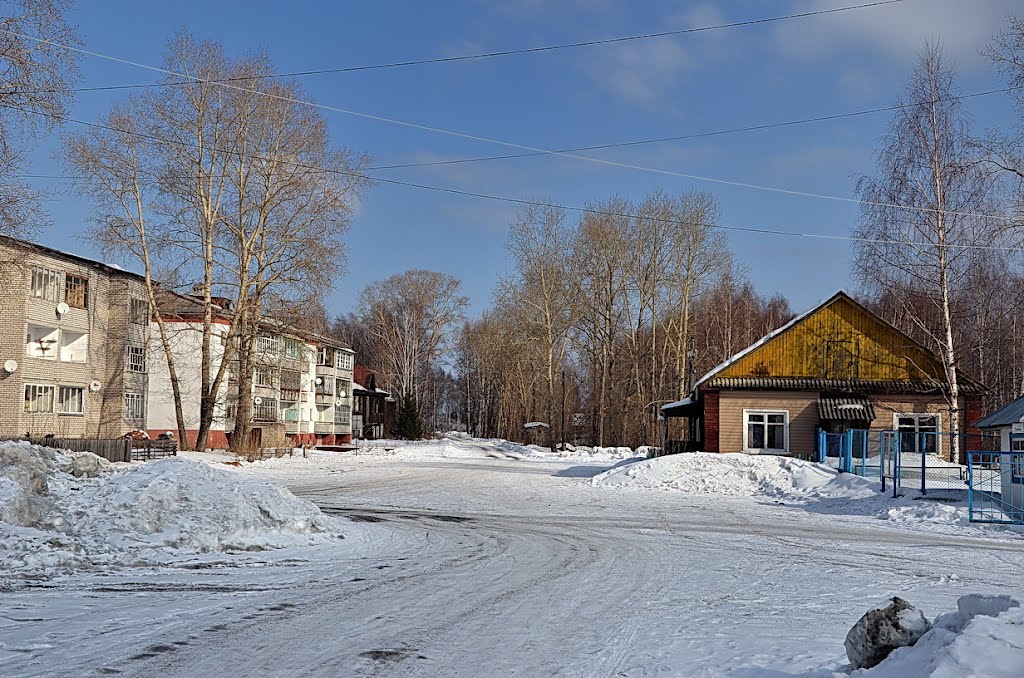 ул.Павлова возле ГИБДД