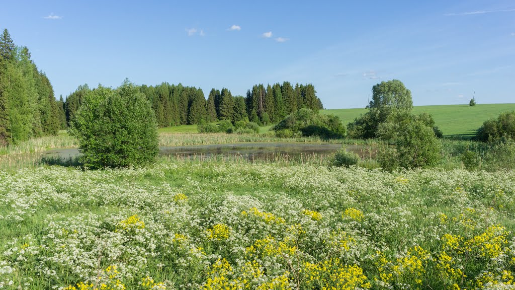 Пруд у Кумёнского кладбища