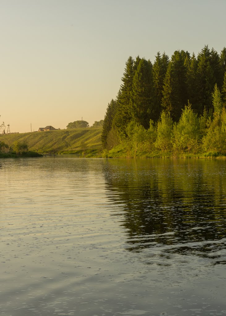 Кумёнка ниже плотины