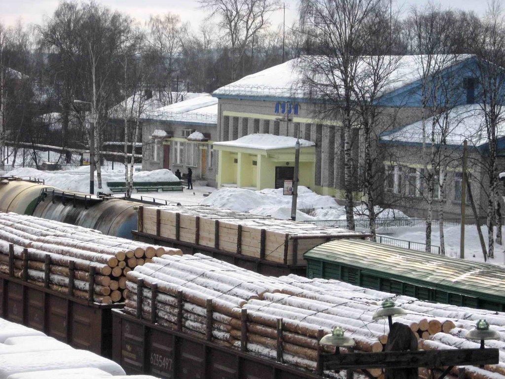 Станция Луза