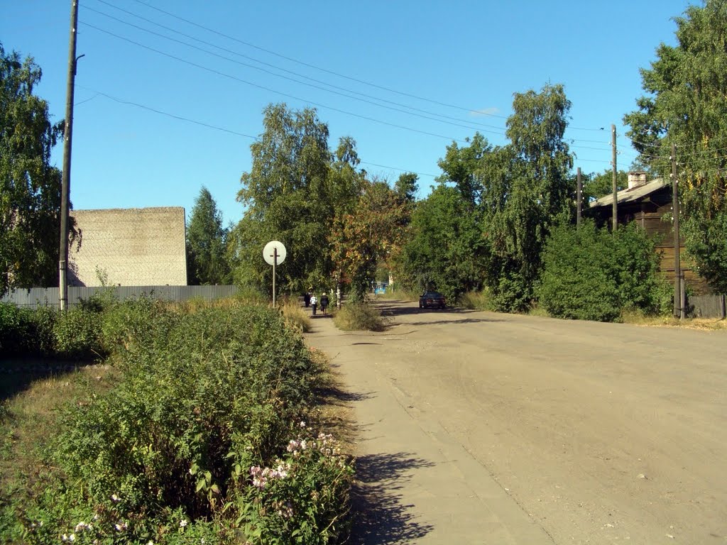 Кировская область, г.Луза