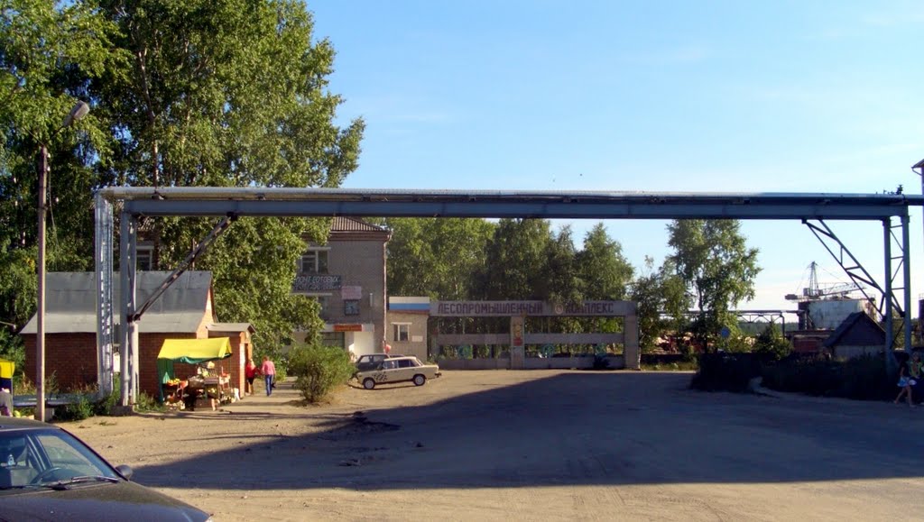 Кировская область, г.Луза, Лузский ЛПК