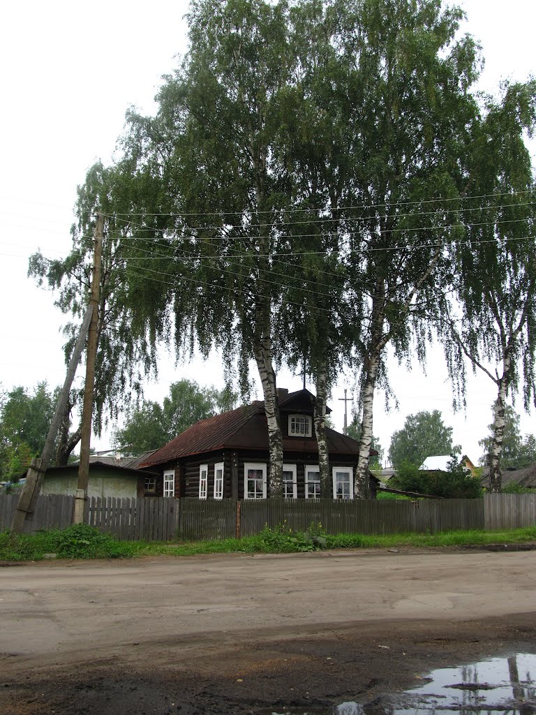 Под берёзами