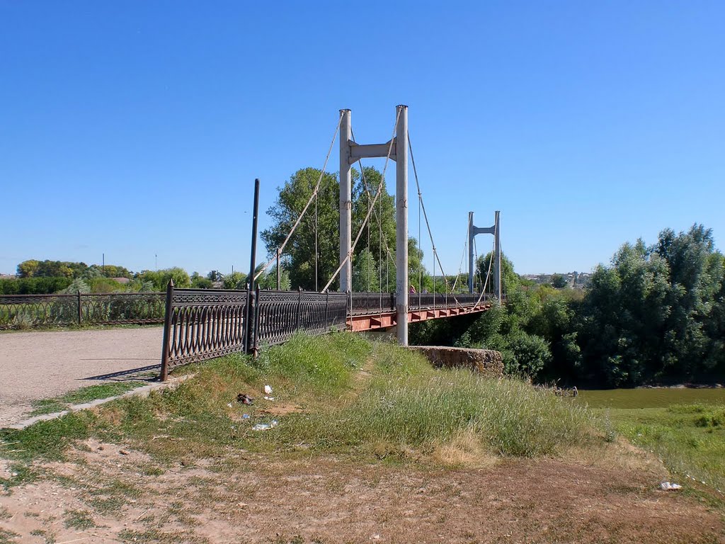 Бруклинский мост через Шошму - Brooklin Bridge Across Shoshma - July 2010