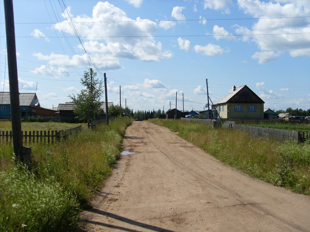 Дорога к улице Сосновой