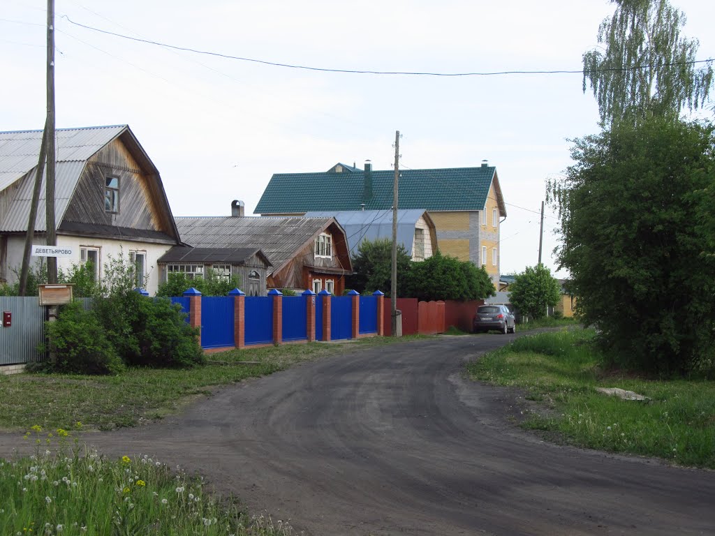 Деветьярово, ультрамариновый забор