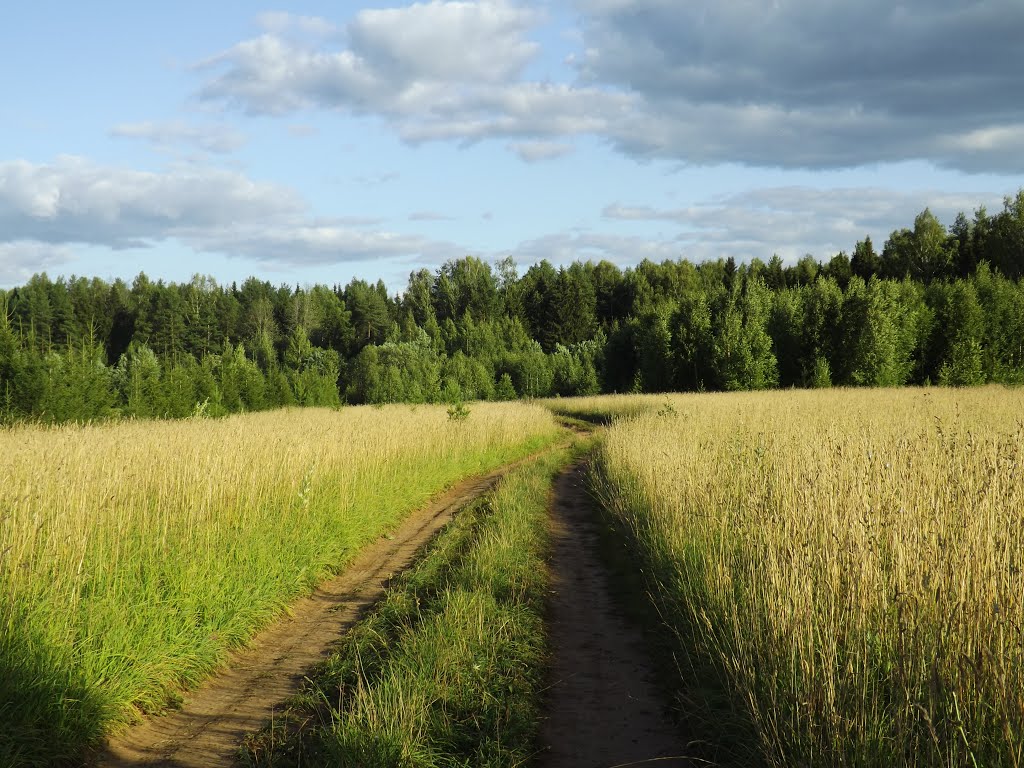 Дорога к Слободской трассе