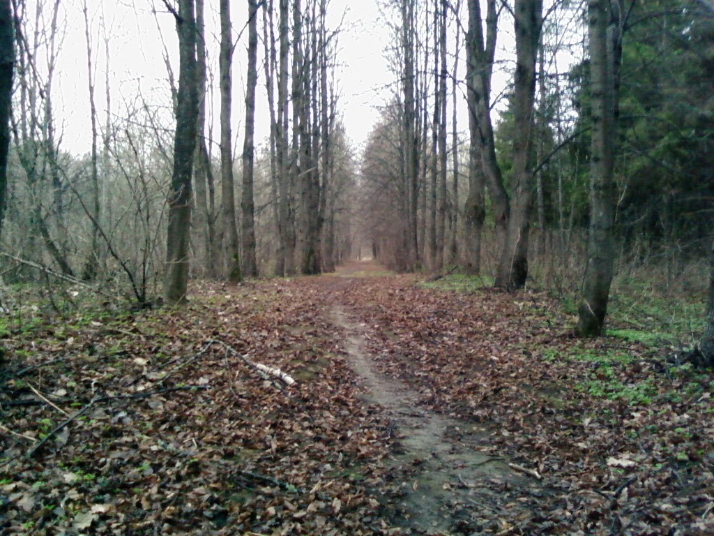 Роща