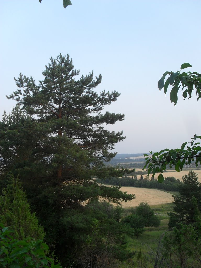 From Hill
