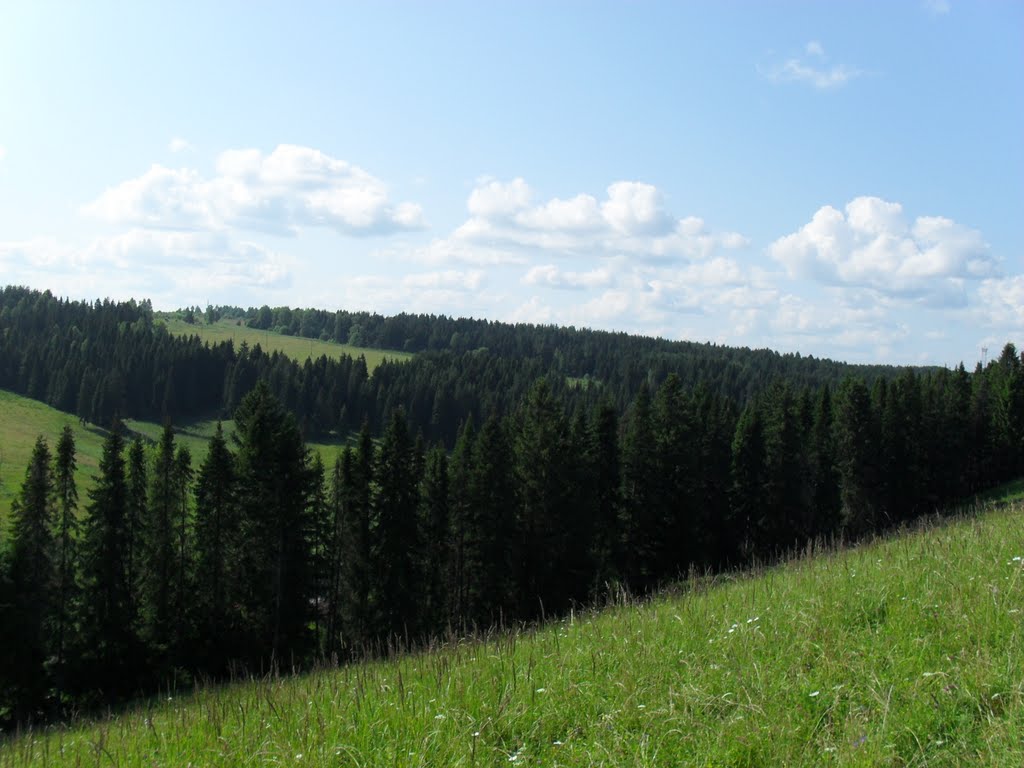 Вид