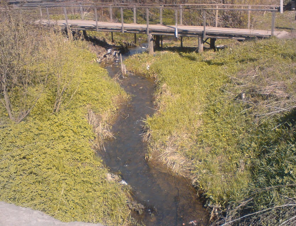 Название городу дала эта речка Ноля..Name the city gave this river Nolya..