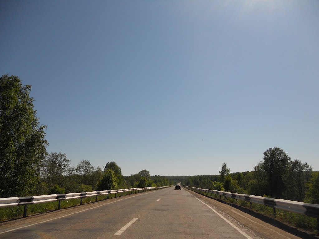 Мост через р. Воя