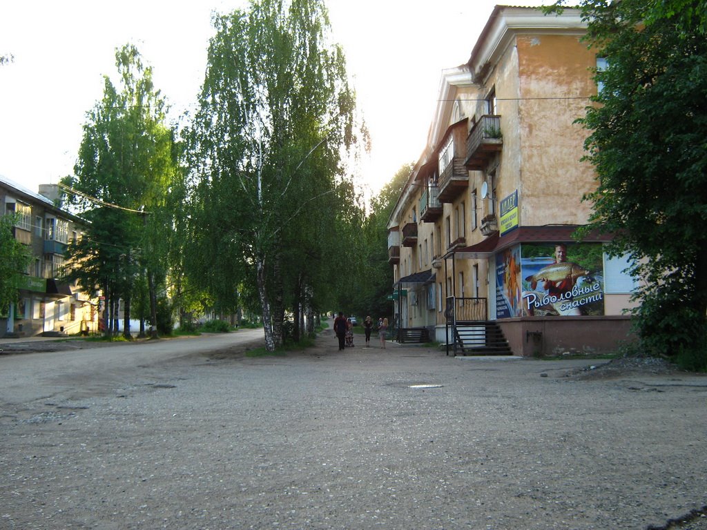 Улицы Омутнинска