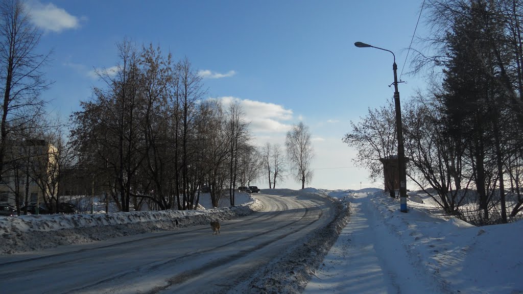 Дорога в Малагово