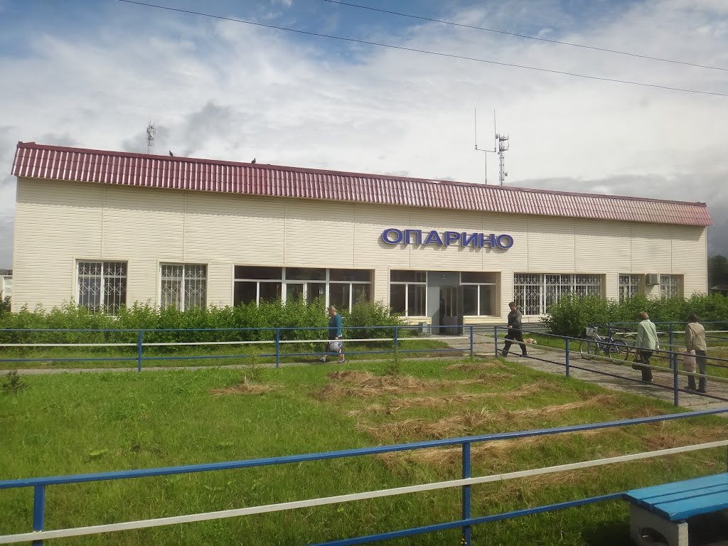 Станция Опарино