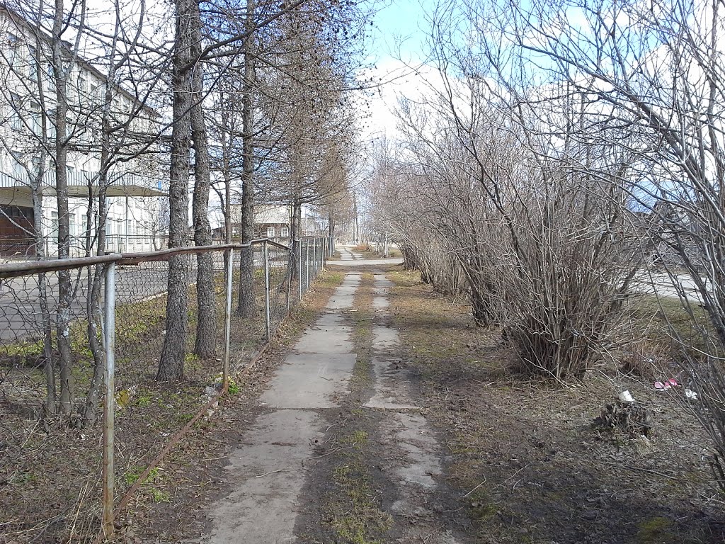 Spring grief - Footpath near school