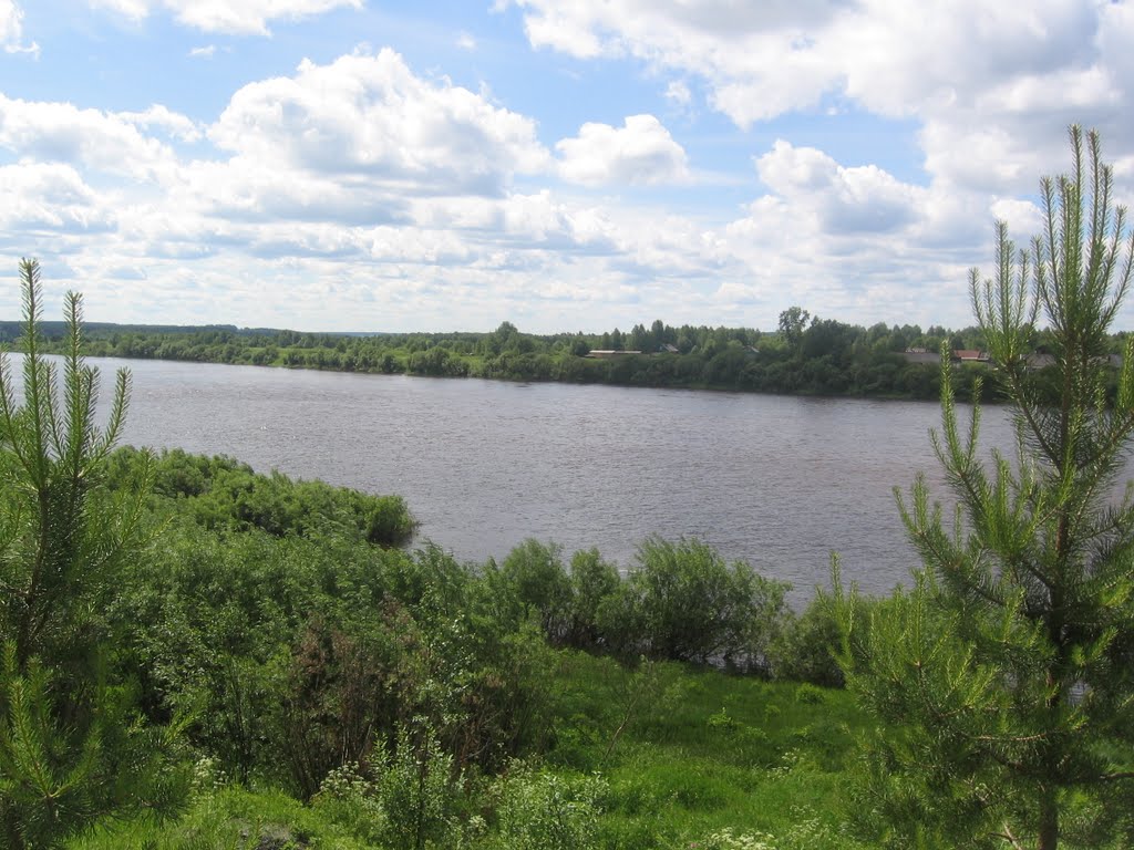 Подпсиновец
