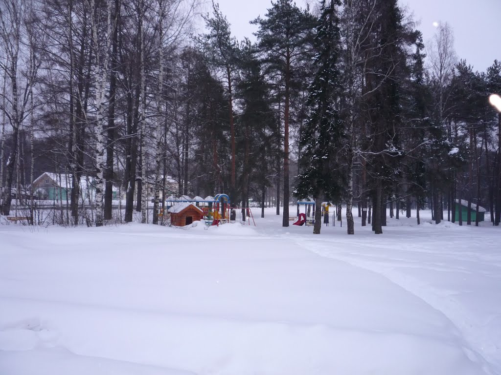 Аллея семьи пгт. Подосиновец 2012