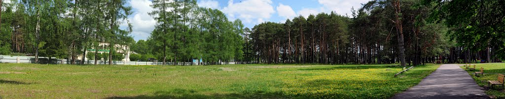 Park View, Podosinovets