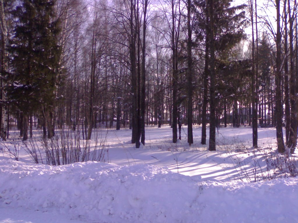 Санчурский парк