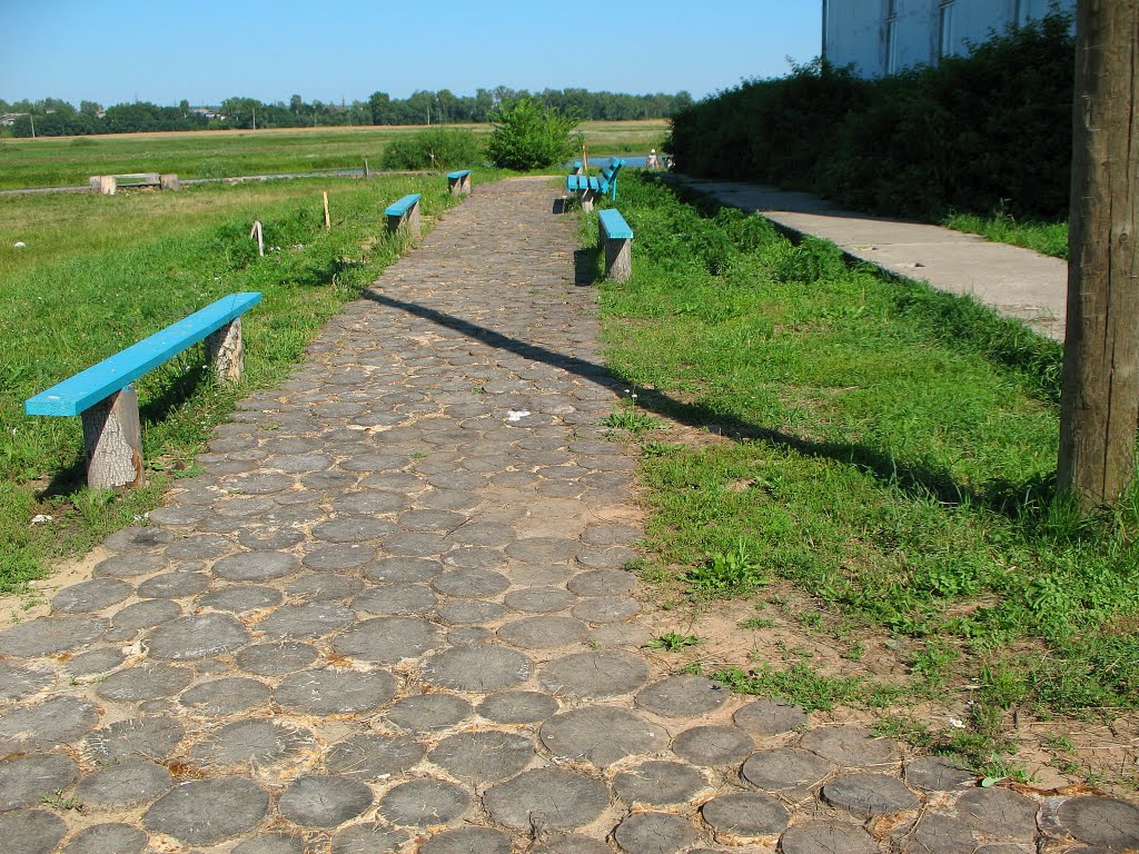 Деревянная дорожка
