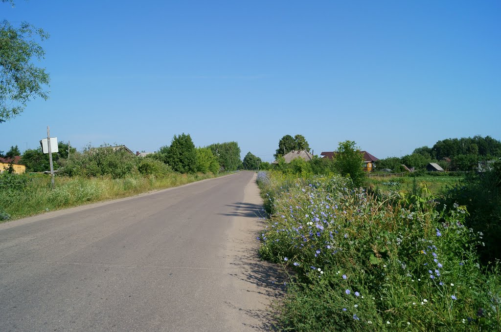 Дорога (Санчурск - Корляки)