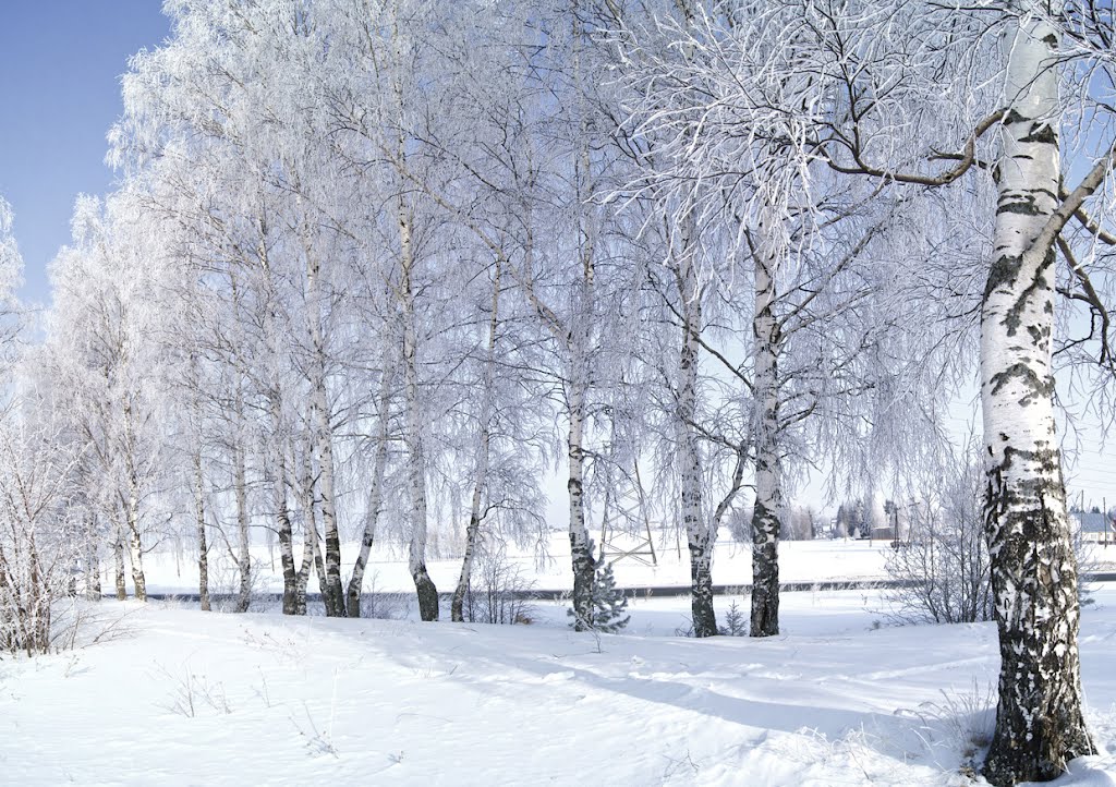 Лисовская гора