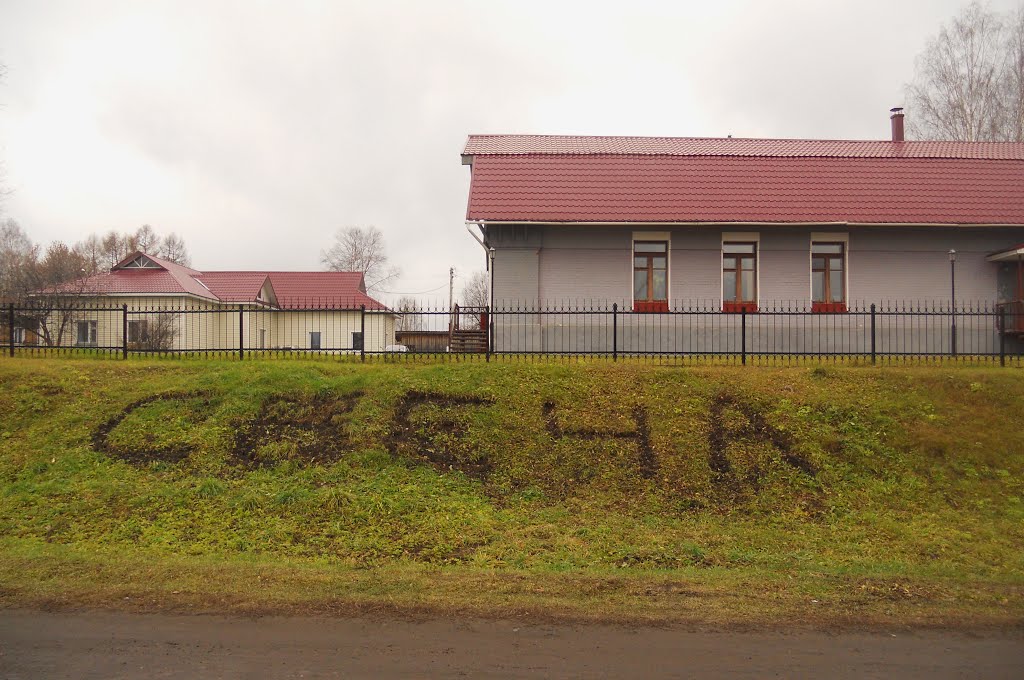 Газон