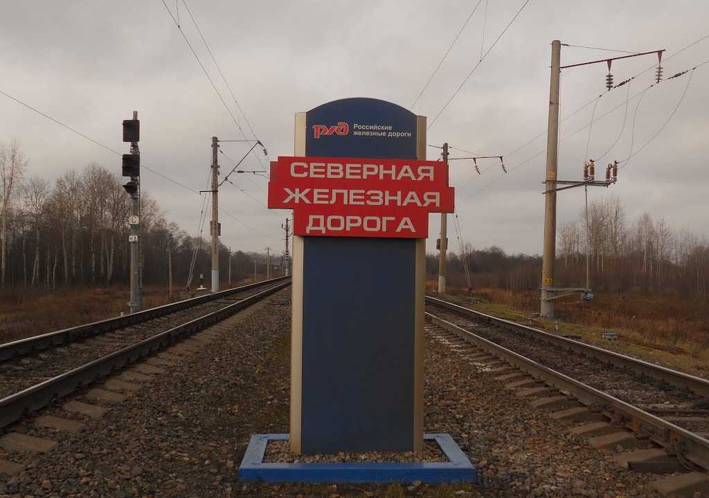 Стелла