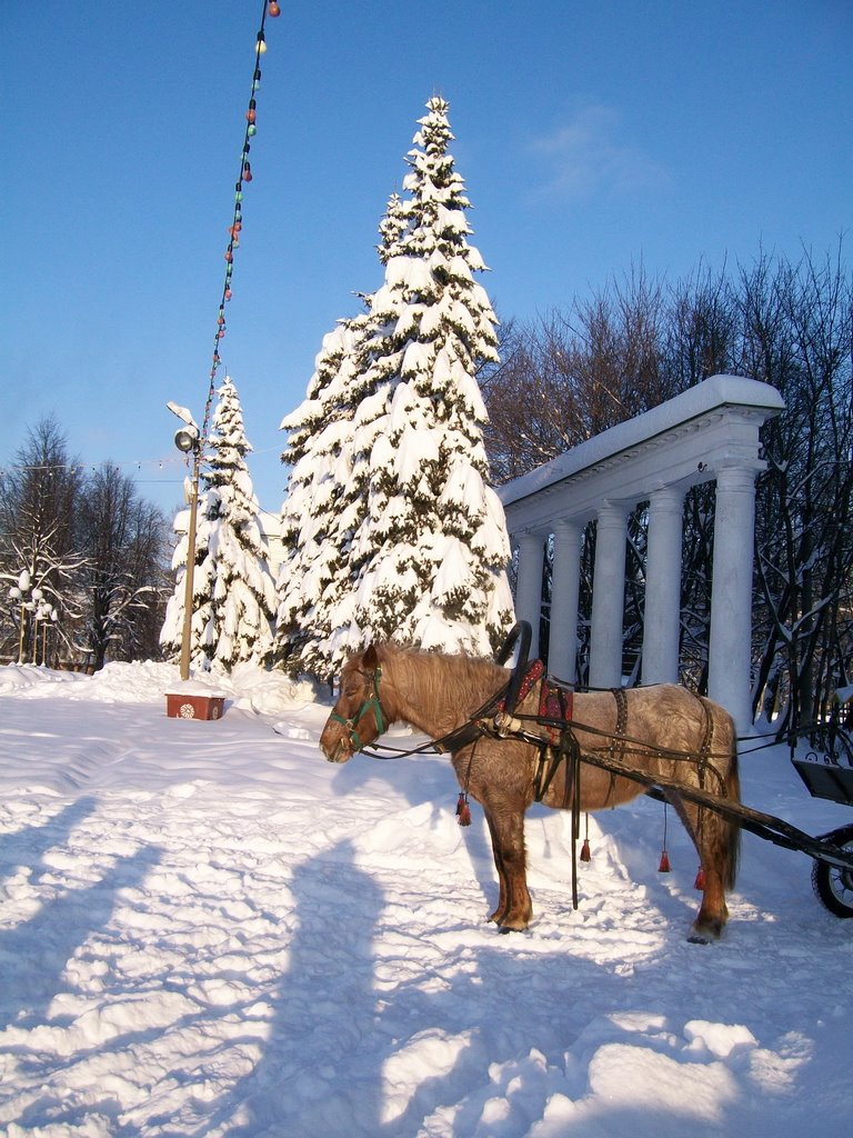Савраска