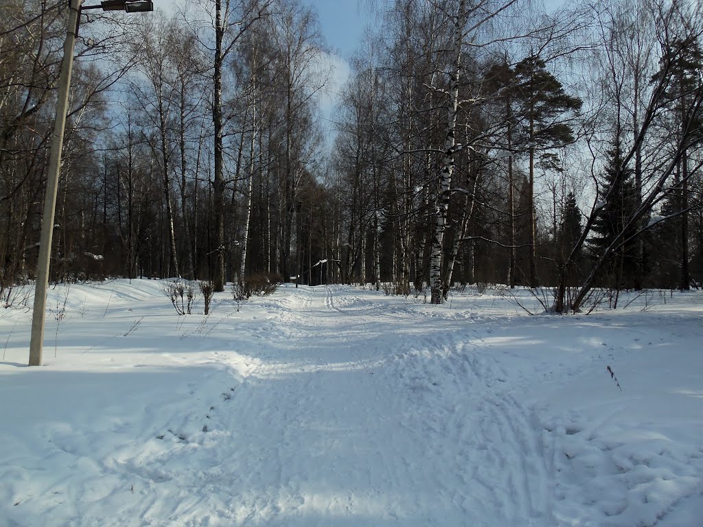 Главная аллея парка, март