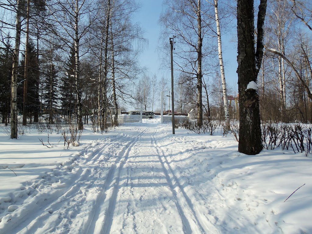 Ворота ПКиО