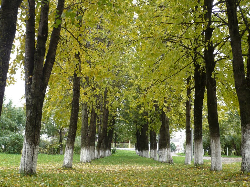 Осень в Советске