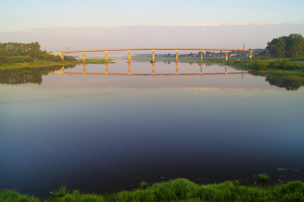 Пижма на рассвете