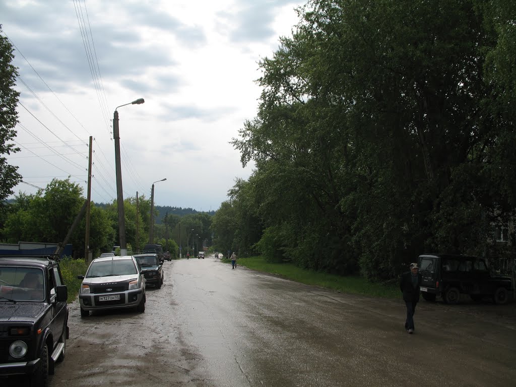 Суна после дождя