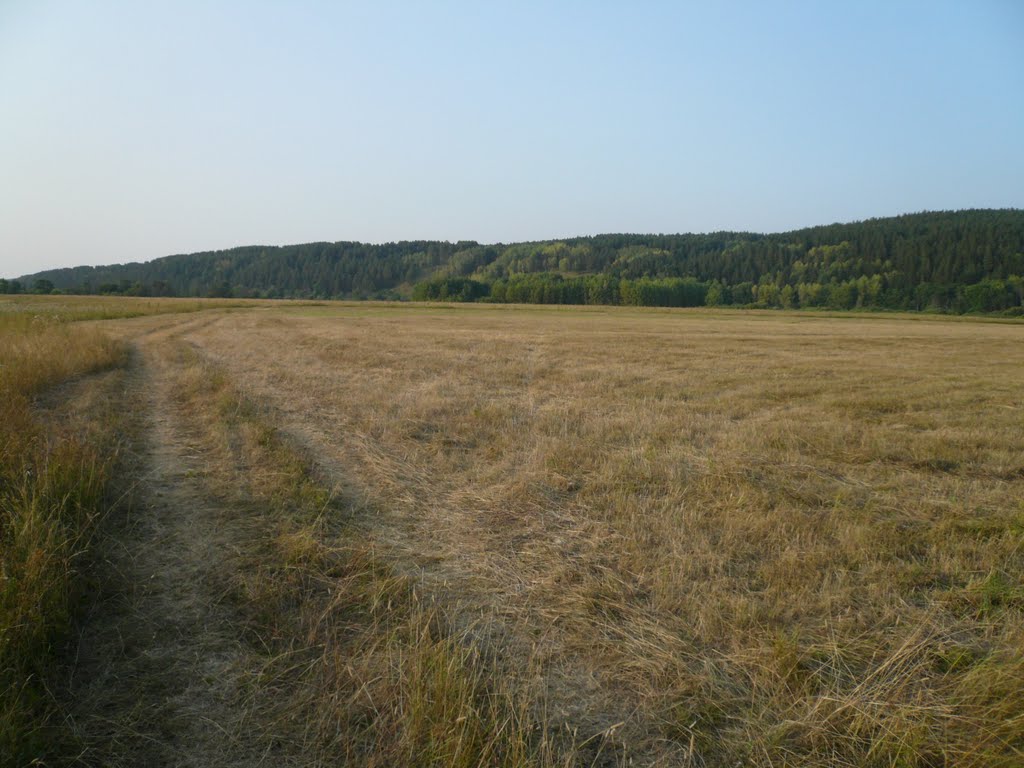 Жаркое лето 2010