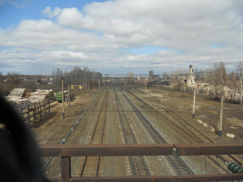Вид на запад с пешеходного моста