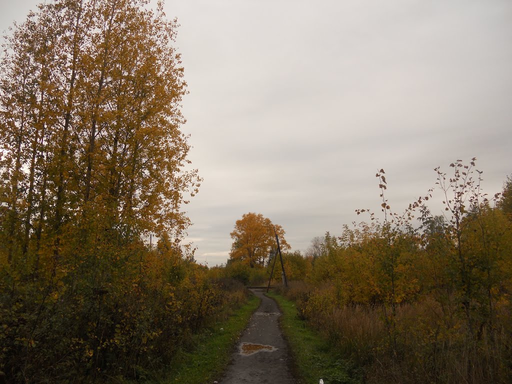 Фаленки