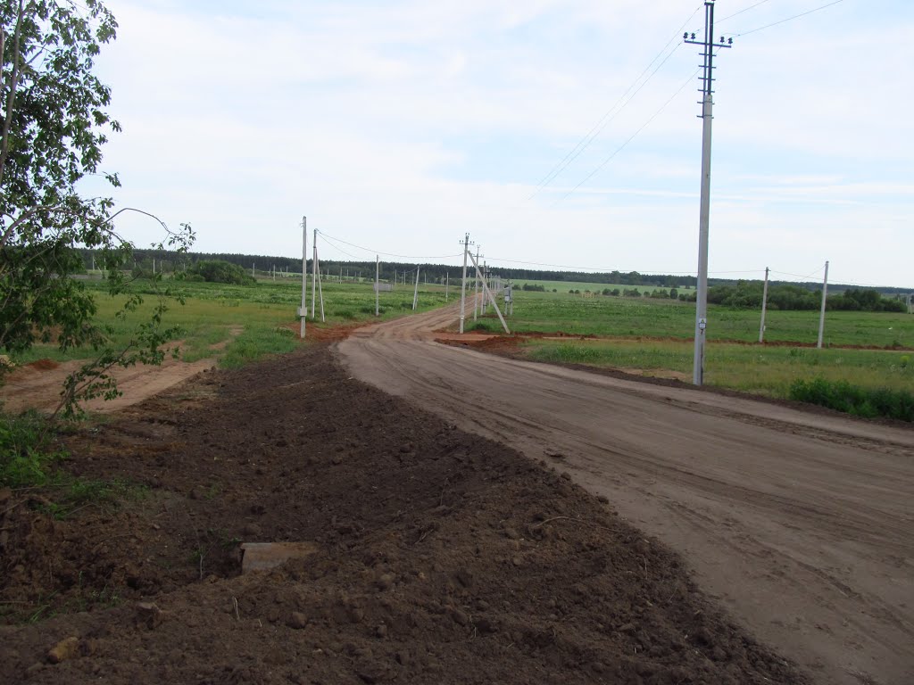 Дорога в будущий КП. Пока пусто.