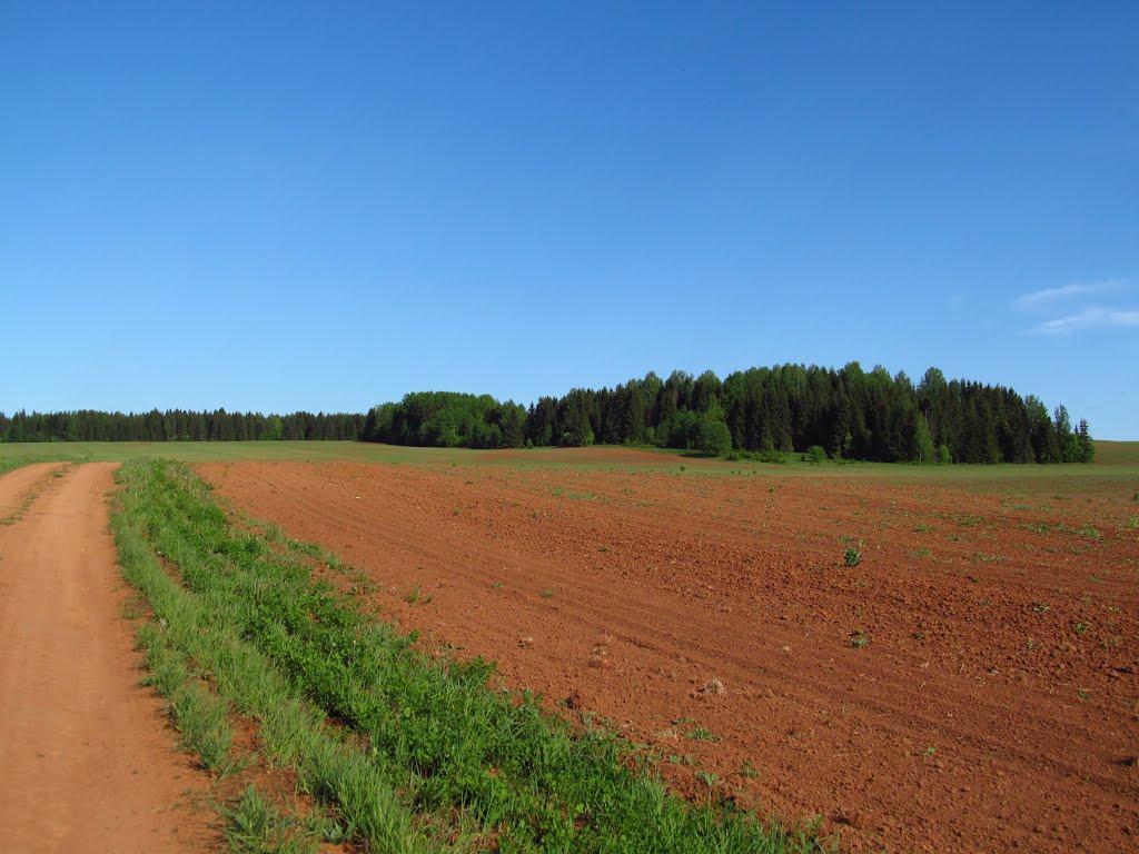 Красное поле