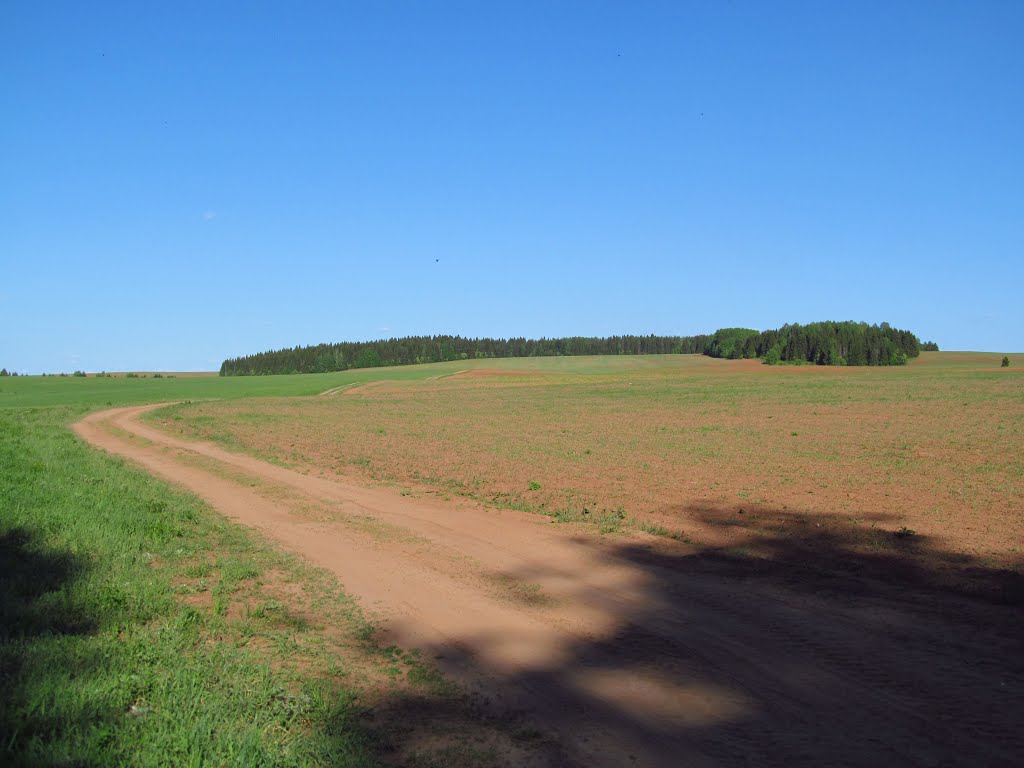 Вид от леса на Черепаший холм