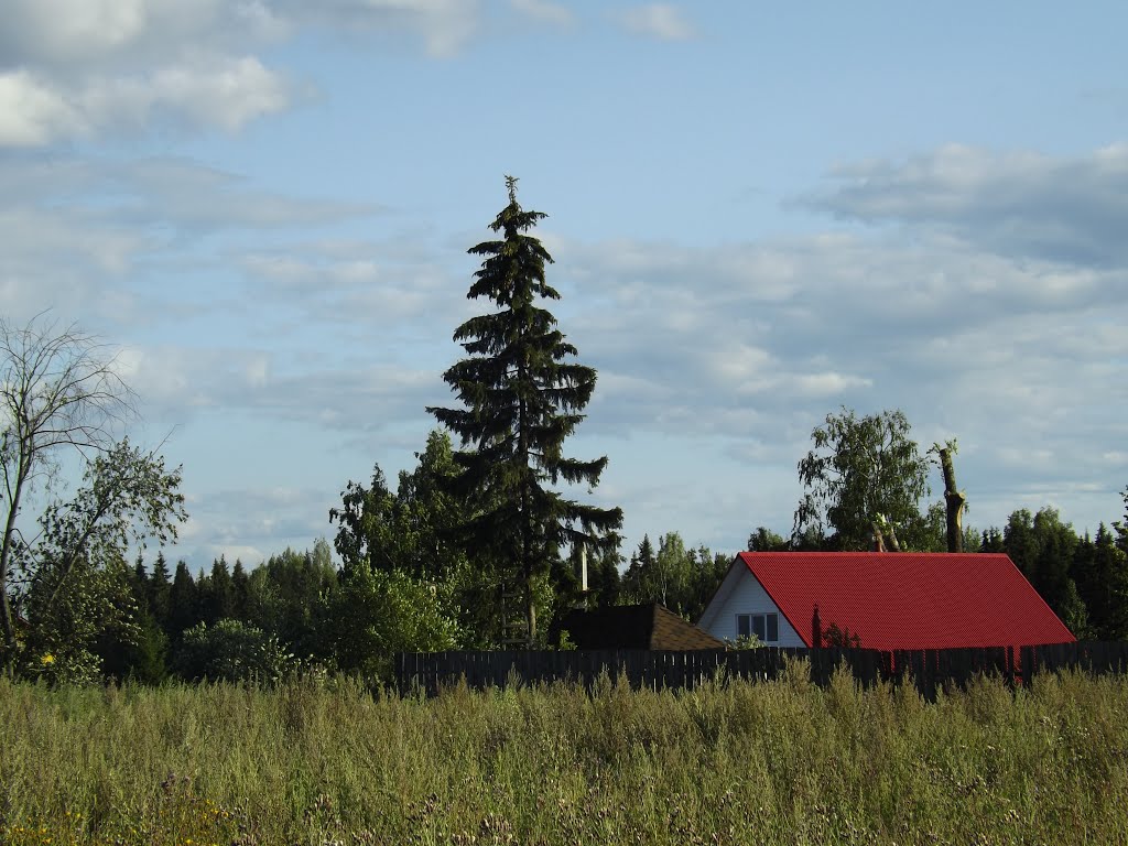 Ёлочка в Кусакиных